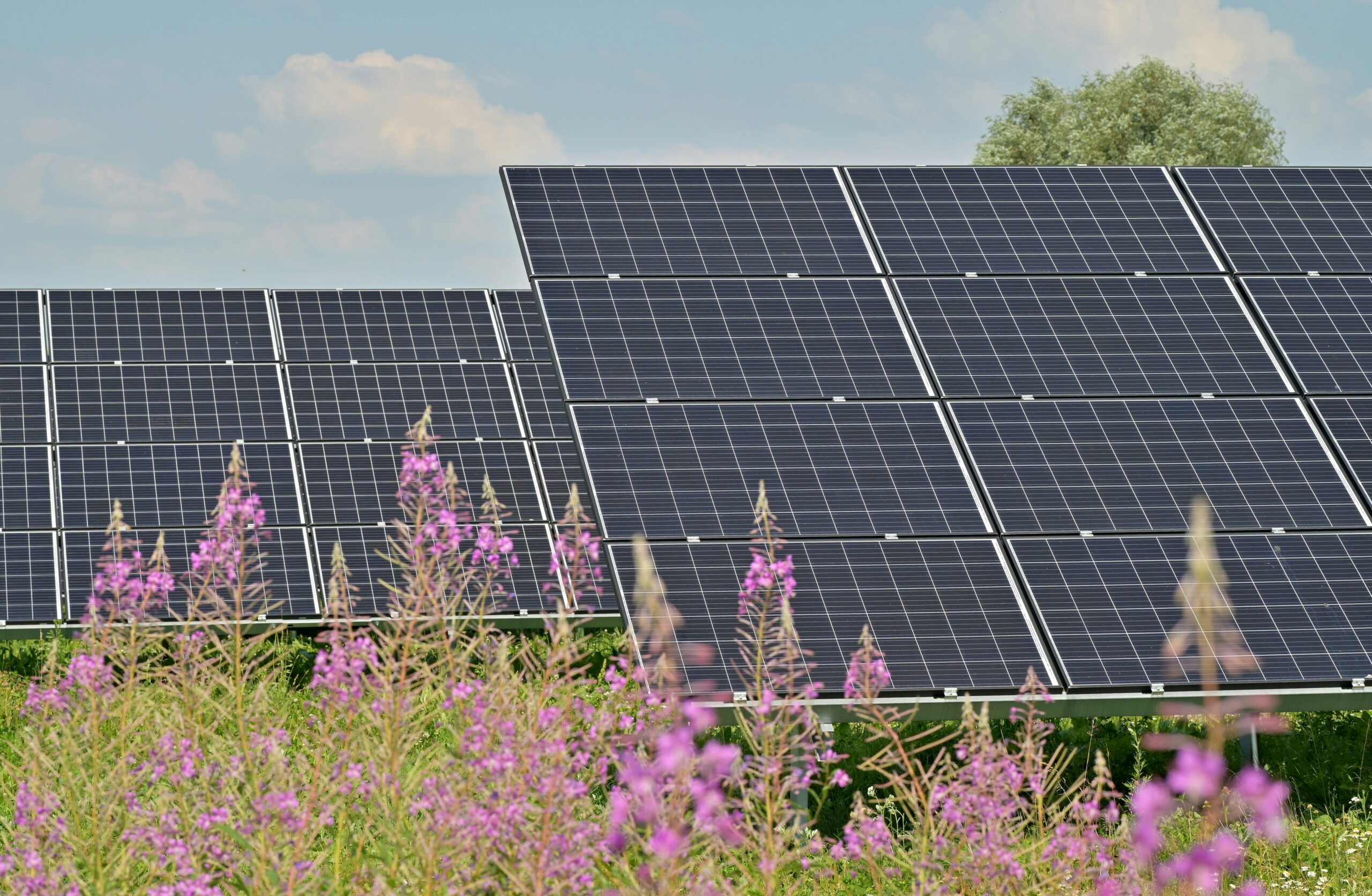 Solar Panels Stirling