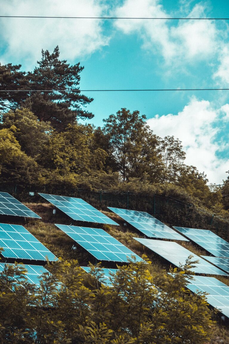 How to Get Solar Panels in Devon